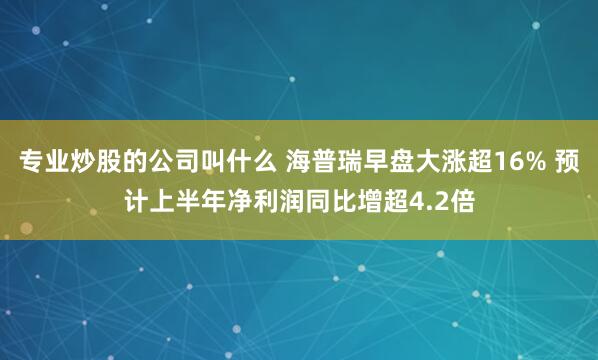 专业炒股的公司叫什么 海普瑞早盘大涨超16% 预计上半年净利润同比增超4.2倍